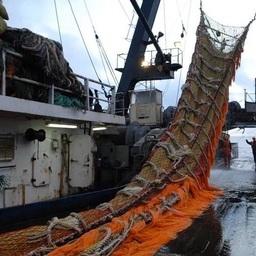 АСРФ приняла Кодекс устойчивого рыболовства