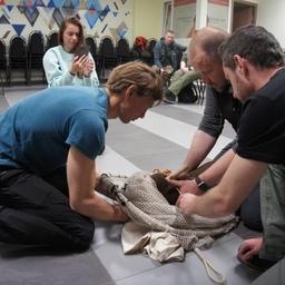 Камчатцев учат вызволять тюленей из беды