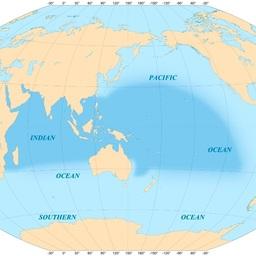 Индийский океан хотят «накрыть» спутниковым мониторингом