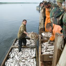 Западной Сибири уточнят правила рыболовства