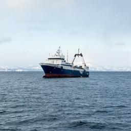 Рыбопромышленники за оперативное регулирование промысла