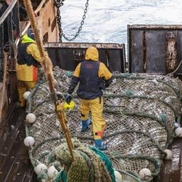 В правила рыболовства для Северного бассейна внесли большой блок изменений
