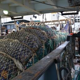 Российский вылов к лету достиг почти 2 млн тонн Российский вылов к лету достиг почти 2 млн тонн
