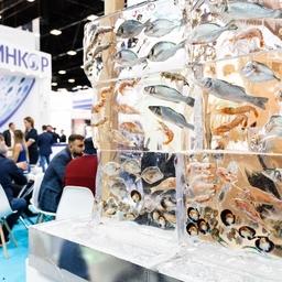 Seafood Expo Russia 2022: ловим — упаковываем — везем — продаем