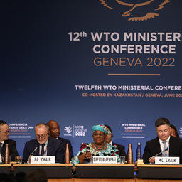 В ВТО остались вопросы по вредным субсидиям