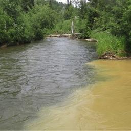 Сибирских золотодобытчиков призовут к ответу за загрязнение рек