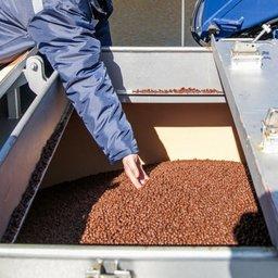 Производителей кормов для ценных рыб собрали в список Производителей кормов для ценных рыб собрали в список