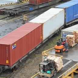 РЖД зафиксировали рост контейнерных перевозок рыбы из Приморья на 45%