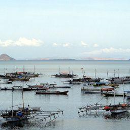 Индонезия отменила спорную реформу рыбного хозяйства
