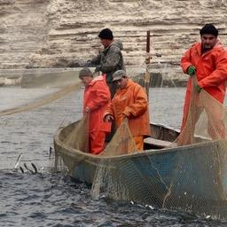 Пострадавших от недолова рыбаков Крыма поддержат из бюджета