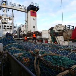 АДМ предлагает устранить противоречия в правилах рыболовства