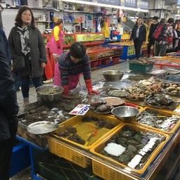 Южнокорейское рыболовство поможет Шри-Ланке добыть валюту