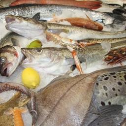 Рыбный союз: Система оценки рисков пойдет на пользу импортерам