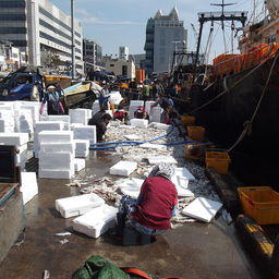 Рыбопромышленникам Южной Кореи разрешили нанимать больше иностранцев