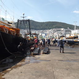 Рыбаки Южной Кореи переходят в более доходные отрасли