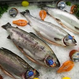 Рыбная отрасль Карелии увеличила налоговую отдачу