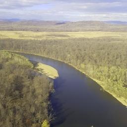 Новый федеральный проект по защите рек и озер запустят с 2025 года