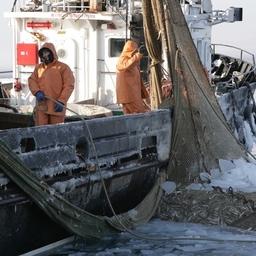 Сахалинское министерство готово прийти рыбакам на помощь в получении разрешений