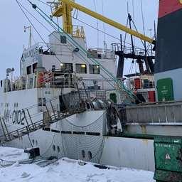 Специалисты России и Норвегии исследуют запасы Баренцева моря