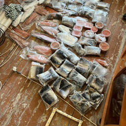 Сахалинскому рыбинспектору вменяют покровительство браконьерам
