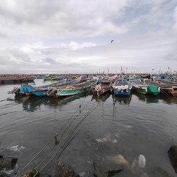 Индия подстегнет развитие рыбной отрасли новыми вливаниями