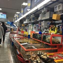 В Южной Корее отмечают сокращение уловов