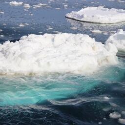 Таяние полярных льдов продолжает привлекать внимание ученых