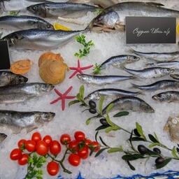 Экспортерам рыбы открыли доступ в Тунис