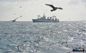 Для регулирования рыболовства на Дальнем Востоке предложили ряд поправок