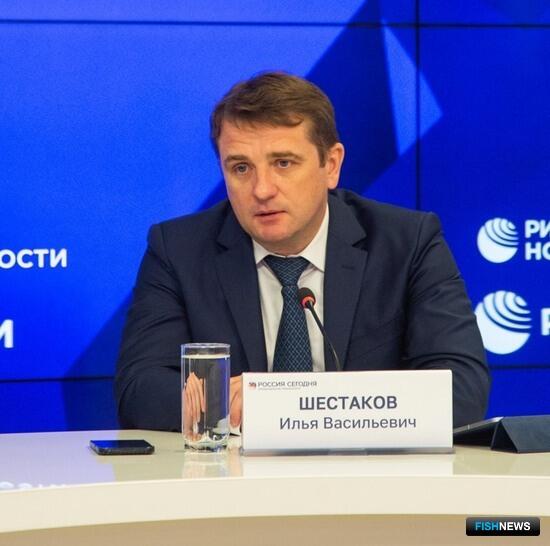 На иваси и скумбрию возлагают надежды На иваси и скумбрию возлагают надежды