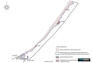 Часть Куршского залива планируют взять под охрану