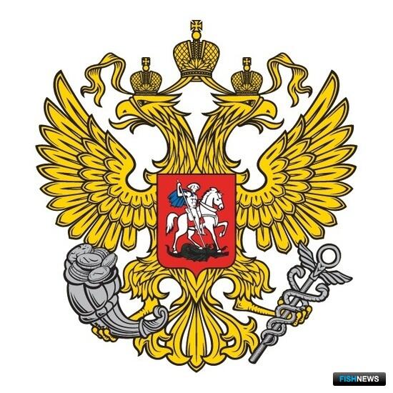Минэк рассказал о подготовке к безбумажной торговле Минэк рассказал о подготовке к безбумажной торговле