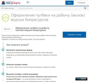 Камчатцы активно оформляют цифровые путевки на лосось Камчатцы активно оформляют цифровые путевки на лосось
