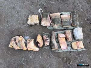 Покупка браконьерской осетрины привела к уголовному делу Покупка браконьерской осетрины привела к уголовному делу
