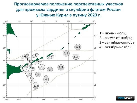 Ученые рассказали о сценарии пелагической путины Ученые рассказали о сценарии пелагической путины