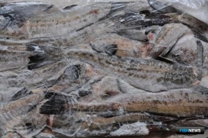 Рынки держатся за мороженую рыбу