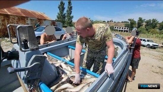 В ДНР ищут хозяев браконьерского пиленгаса