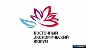 Отраслевая сессия на ВЭФ пройдет 11 сентября