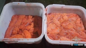 «Икорные» дела завели на Камчатке