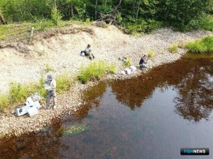 Хабаровские ученые оценили ситуацию с летней кетой Хабаровские ученые оценили ситуацию с летней кетой