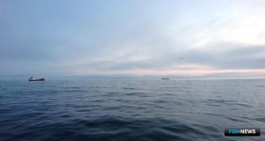 «Большая двадцатка» продолжает держать в фокусе морскую природу