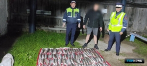 Полтора центнера омуля перехватили в Бурятии Полтора центнера омуля перехватили в Бурятии