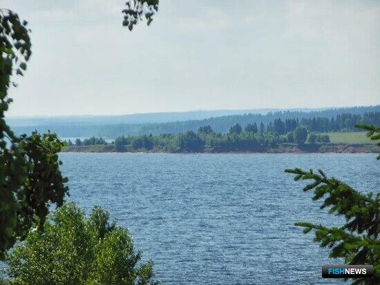 Право на промысел в водохранилищах Прикамья разыграют на торгах