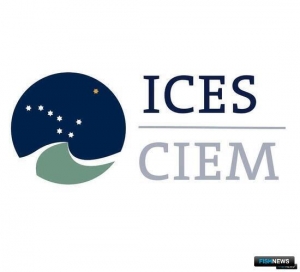 ICES дал новые рекомендации по квотам