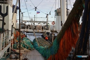 Российский вылов уверенно растет