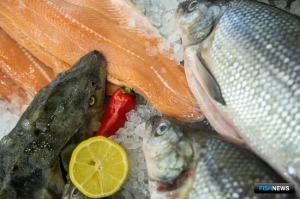 Для продвижения органической продукции готовят план Для продвижения органической продукции готовят план