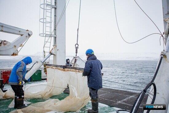 Корабельная краска может угрожать морской экологии