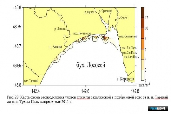Наука рассказала о рыбных запасах Восточно-Сахалинской подзоны