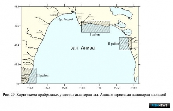 Наука рассказала о рыбных запасах Восточно-Сахалинской подзоны