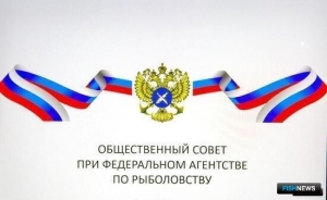 Общественный совет оценил работу за год